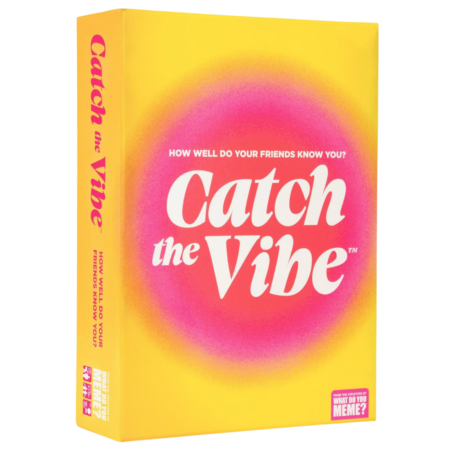 Catch The Vibe Game